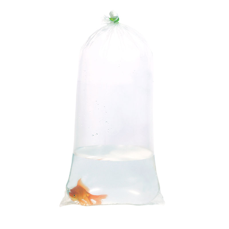 ALFA Fishery Bags Pack of 100 Leak Proof Clear Plastic Fish Bags Size 12 x  18 Inches for Marine and Tropical Fish Transport 2.25 mil. : Amazon.in: Pet  Supplies