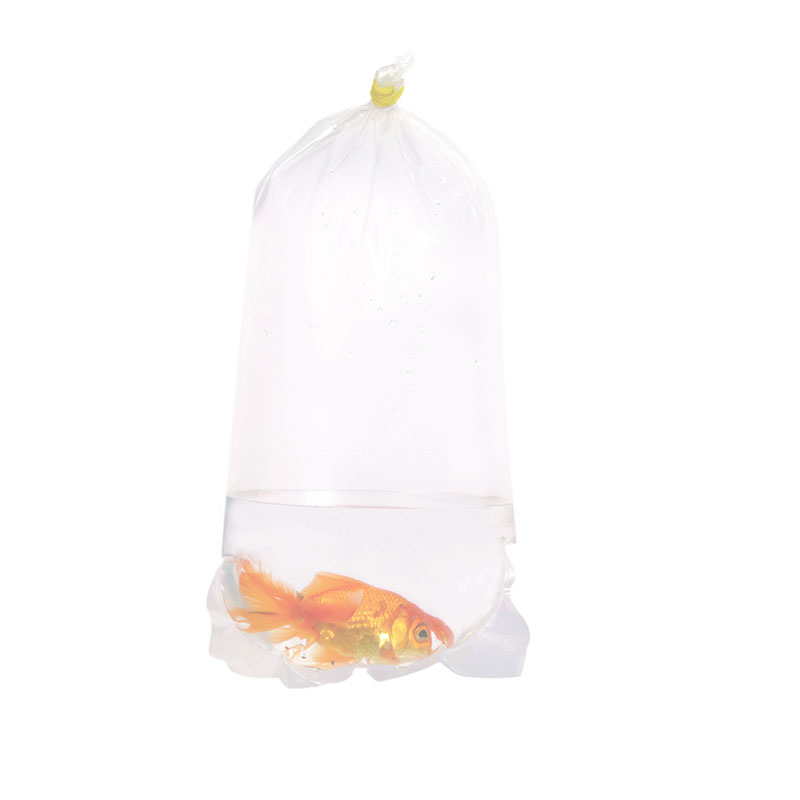 Pack of 1000 Plastic Fish Bags of Size 6 x 14 Inches Clear